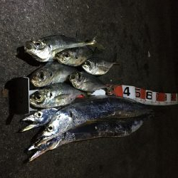 周りを見て2種類の釣り