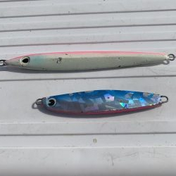 淡路島へビッグブルーを求めて