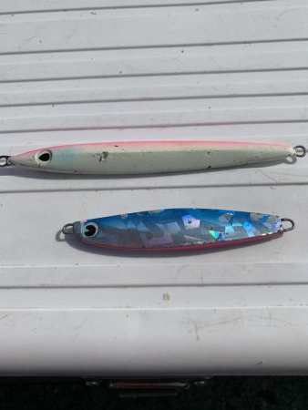 淡路島へビッグブルーを求めて