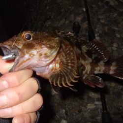 少し大きくなったかな