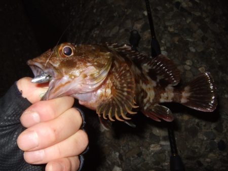 少し大きくなったかな