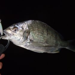 冷え込みで苦戦