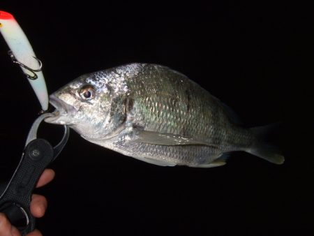 冷え込みで苦戦