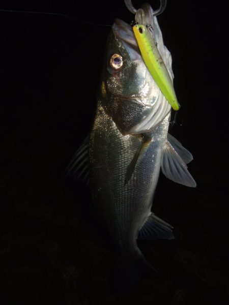 シーズン終盤戦