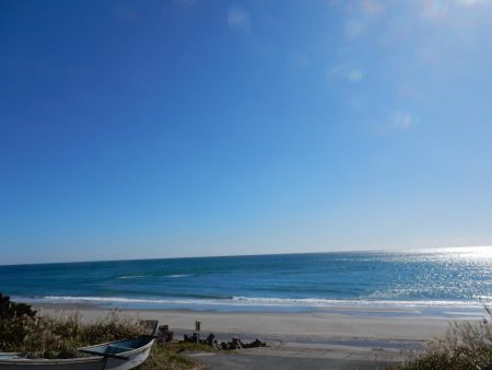 青物まだまだ居ます！