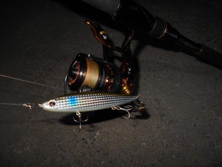 ヘビーウエイトミノーで攻略