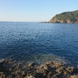 方座浦でグレ釣り