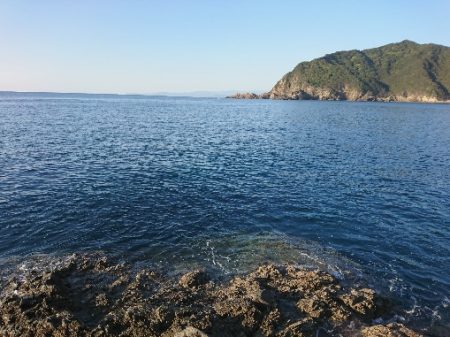 方座浦でグレ釣り