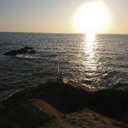 須江でグレ釣り