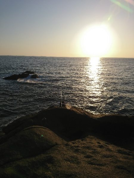 須江でグレ釣り