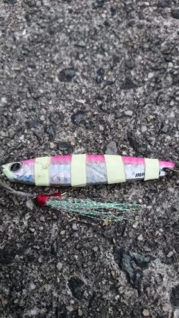 サワラでいいでしょう!