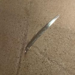 初めてのフラットフィッシュ狙い