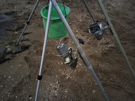 カレイはまだ・・落ちギス良好‼️