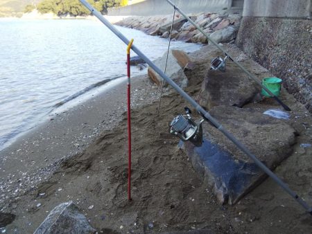 落ちギス活発、カレイはマダ‼️