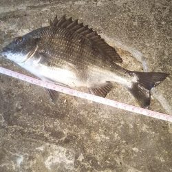 夕方、やや強い風、波少し立ち気味