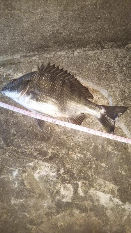 夕方、やや強い風、波少し立ち気味