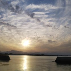 最高サイズセイゴ34cm