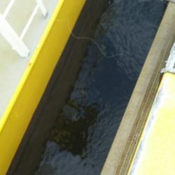 【苅田港】秋のシーバス調査~続き3