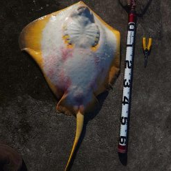 1m超とF5の外道・・・