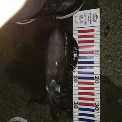 当たりが多かった