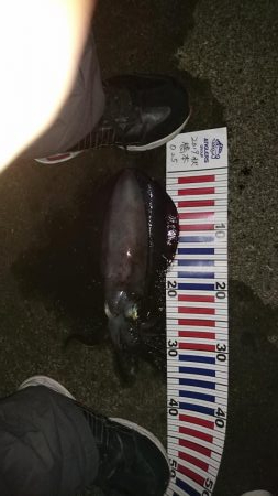 当たりが多かった