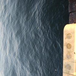 タチウオ最盛期