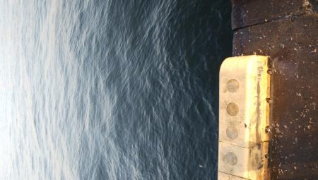 タチウオ最盛期