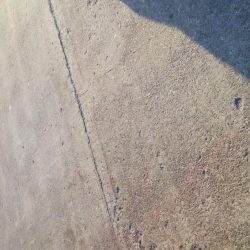 今日もサクッとアジング