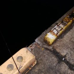 やっとトップシーズン到来