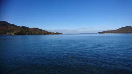 日に日にベイトがいなくなってるような