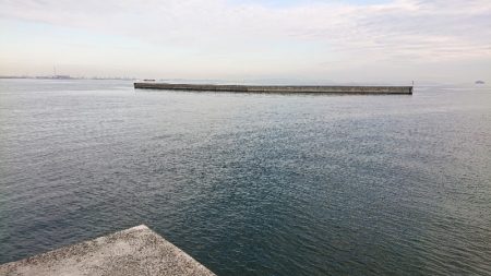 ハマチ？ツバス？