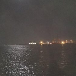 タチウオ&サゴシ