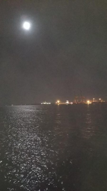 タチウオ&サゴシ