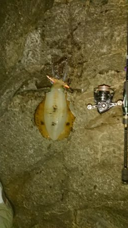 久しぶりの500オーバー