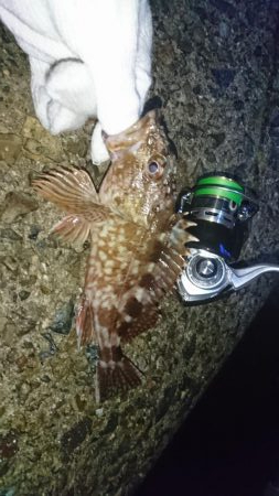 もはやガシリング。