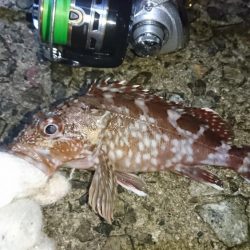 渋い！何とか一匹！