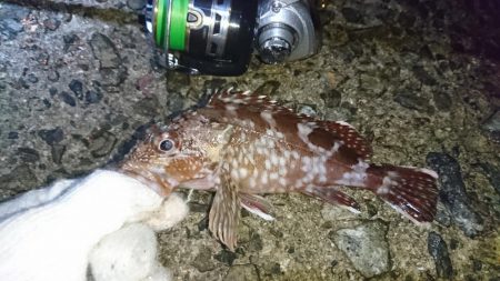 渋い！何とか一匹！