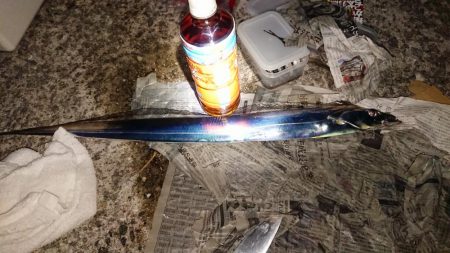 だんだん寒くなってきましたが