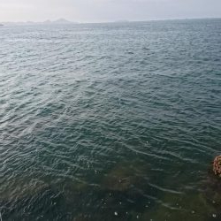 ｾｯﾄｱｯﾊﾟｰ