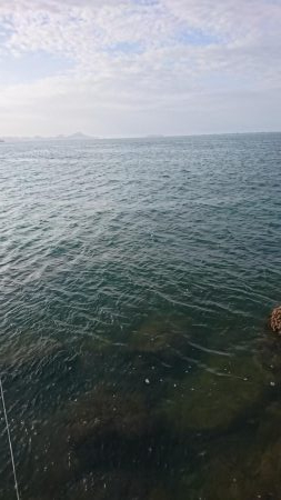 ｾｯﾄｱｯﾊﾟｰ