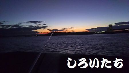 今日も、チヌの顔を見れました。風強かったけど