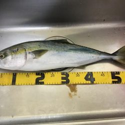 終わり良ければ全て良し