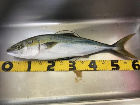 終わり良ければ全て良し