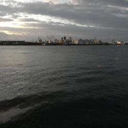 タチウオ終わり？