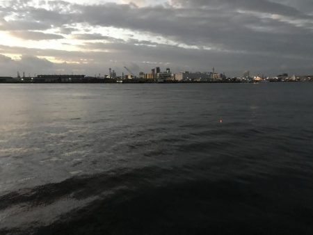 タチウオ終わり？