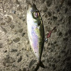 ライトゲームでいろいろ