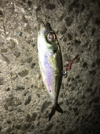 ライトゲームでいろいろ