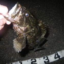 マイベスト更新