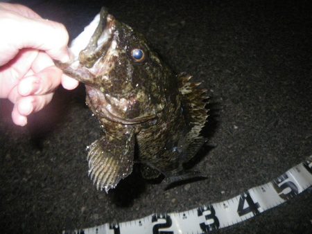 マイベスト更新