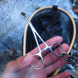 晩秋の天川管理釣り場は、13時以降がオススメ